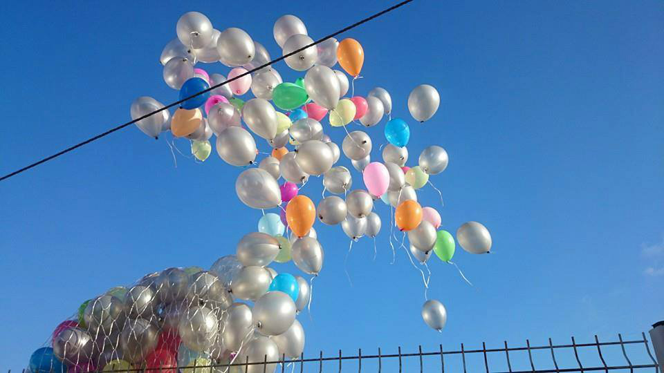 Sculpteurs de ballons mariage, anniversaire, réunion de famille